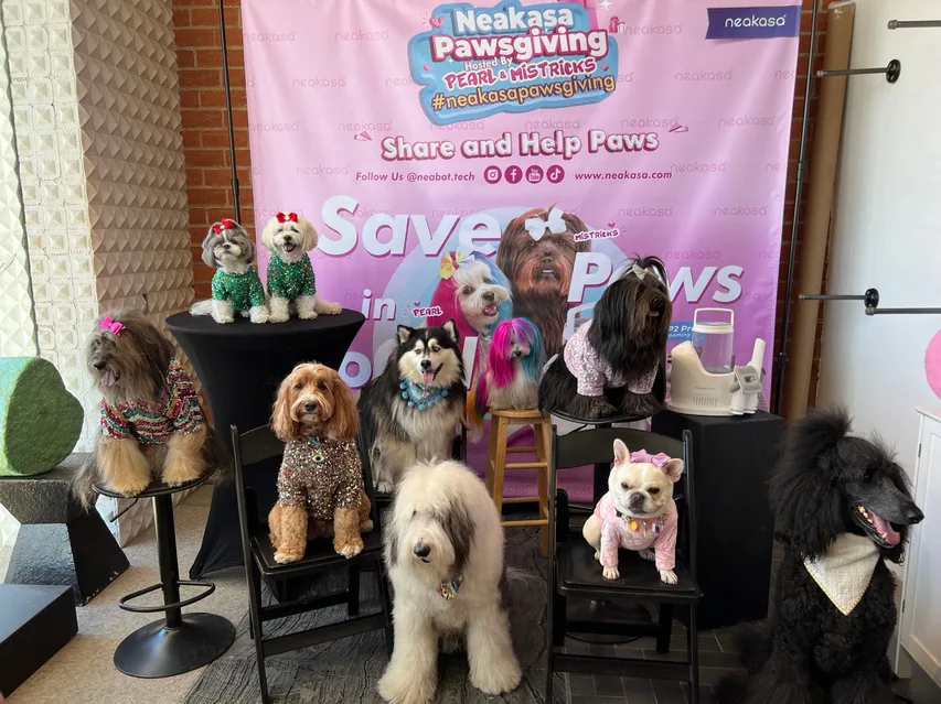 Neakasa Pawsgiving offline pet event