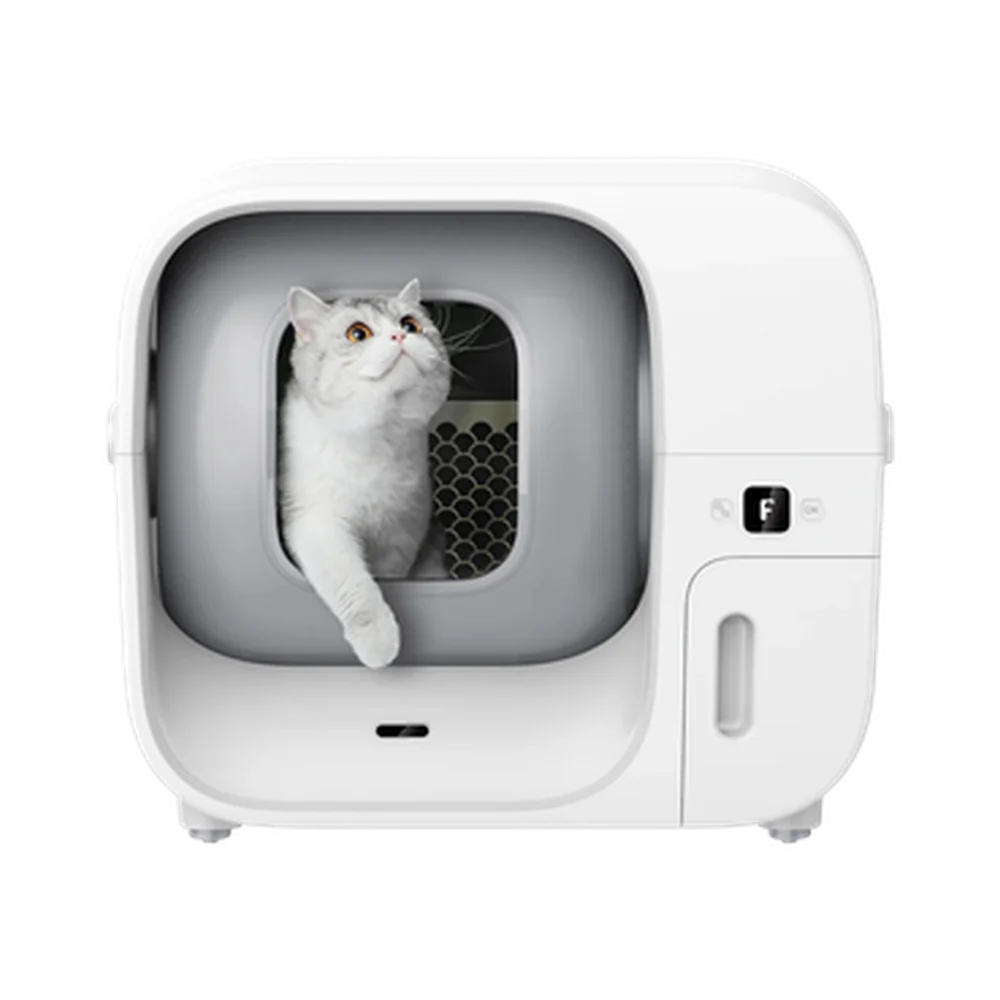 FURBULOUS Furbulous BOX NT$20,103,845